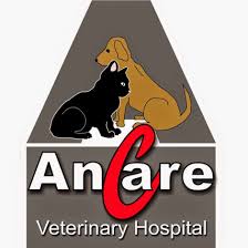 Ancare Veterinary Hospital photo