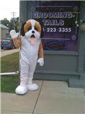 Bandit's doggie spa photo