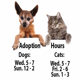 Illinois Valley Animal Rescue, Inc. photo