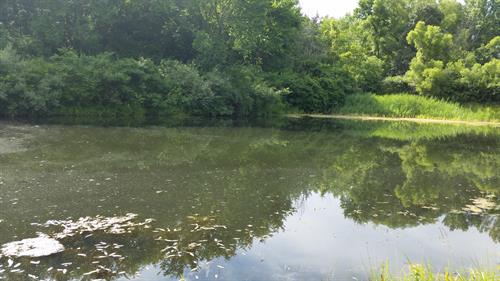 Pleasant Creek, LLC photo